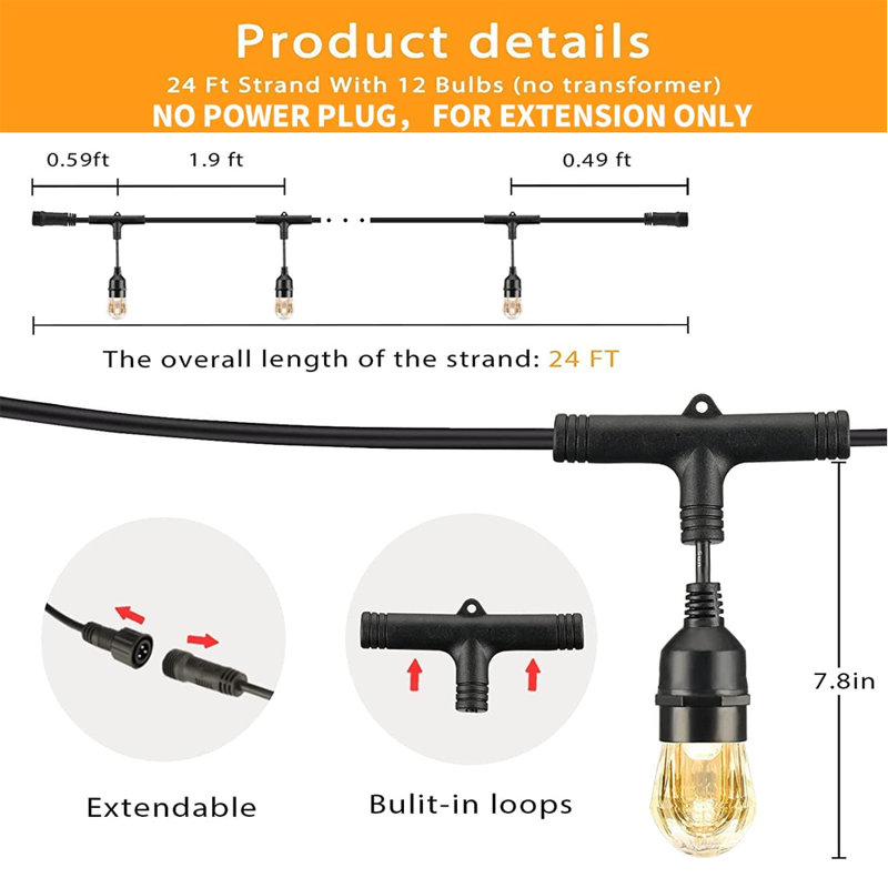 Custar Indoor 12 - Bulb 24'' LED Novelty String Light