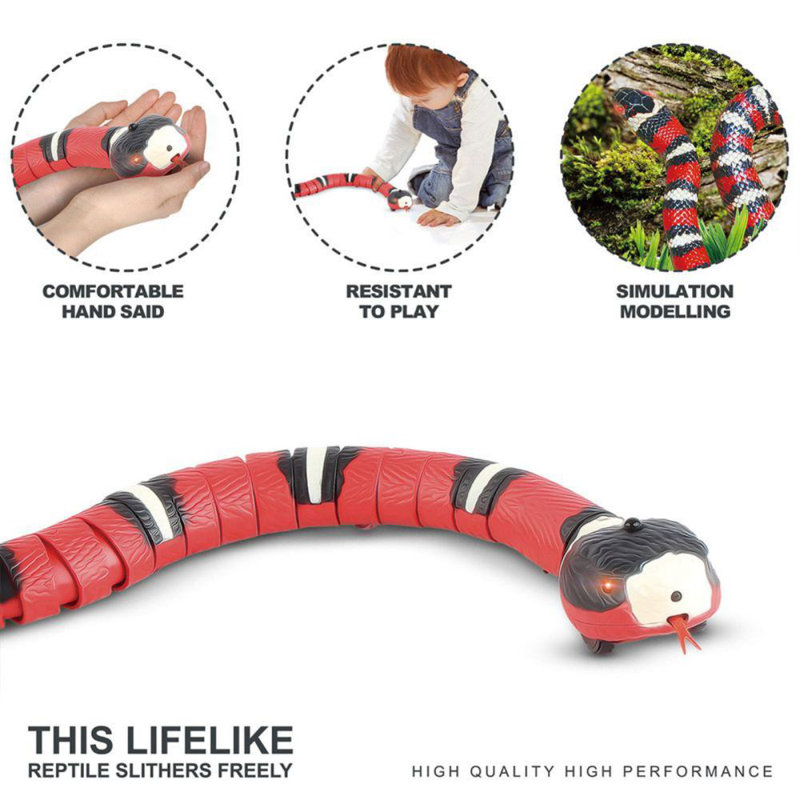 Automatic Cat Toy