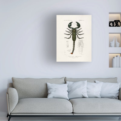 "Bachelor", Charles Dessalines D, l'empereur, scorpion, art sur toile
