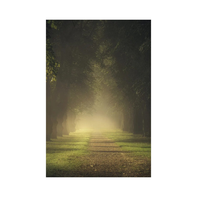 Long Shadows by Lauri Lohi - Wrapped Canvas Print, 20.32 cm H x 30.48 cm W