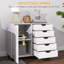 Rehanna Modern Mobile 5-Drawer Cabinet w/ Door, Office Storage Cabinet White