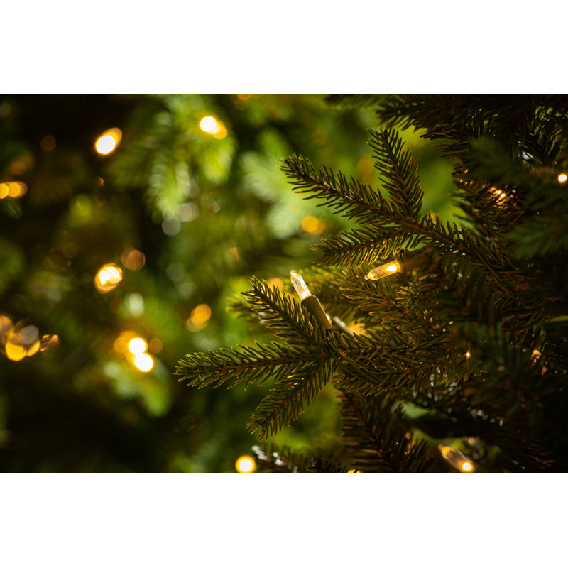 7ft Brookfield Fir Tree with 700 Warm White LED