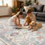 Tapis lavable et antidérapant Farmhouse-1592109914-1591578442