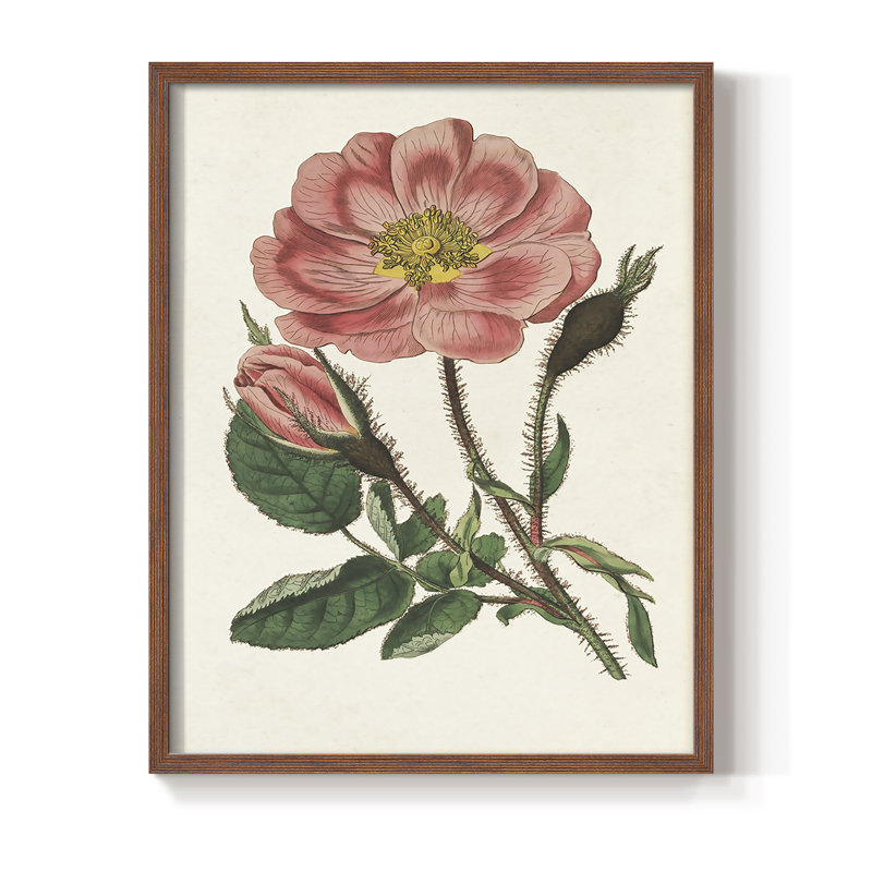 Impression florale rose sur cadre mixte - bois massif, Brun, H 14 po x l 11 po