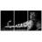 " A Leopard Lying on the Ground " 3 Piece Art Black and White Photography Print