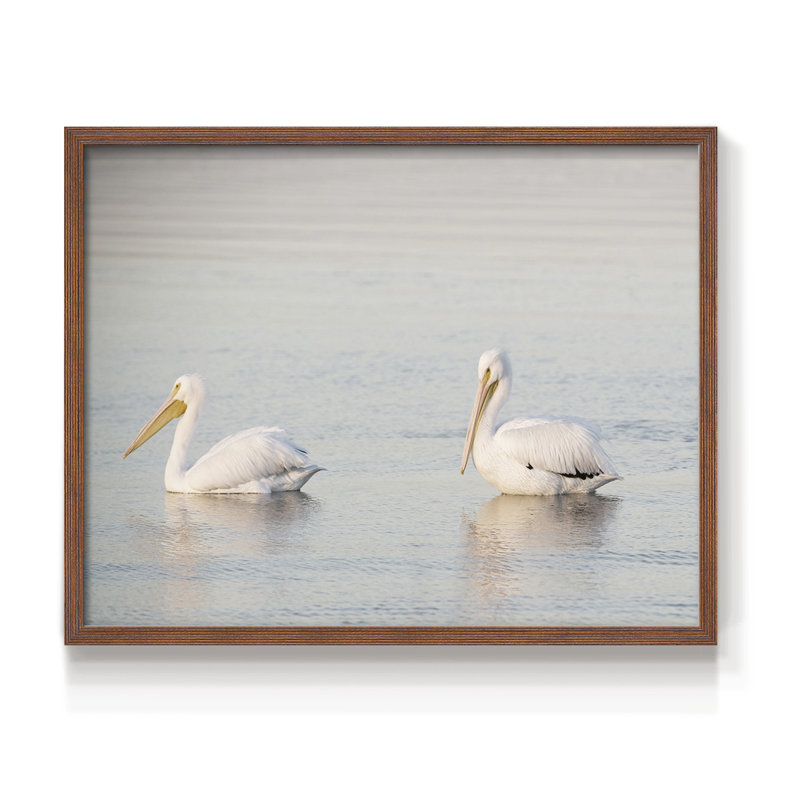 Pelican Pals -Framed Print - Restickable, Noyer, H 11 po x l 14 po