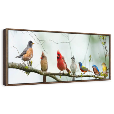 Rassemblement d'oiseaux