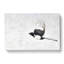 Magpie In Flight - Wrapped Canvas-56629880