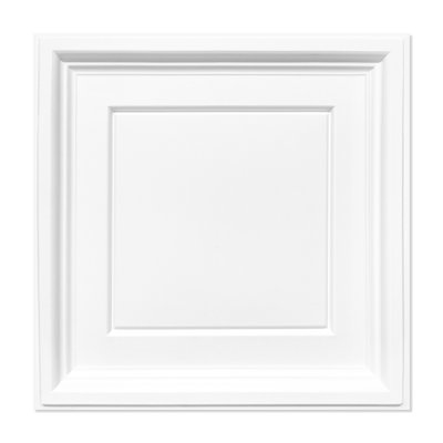 Fasarxiu 12Pcs 2 ft. x 2 ft. PVC Square Ceiling Tile Waterproof Fire-Rated Reusable (48 sq. ft. / case) 