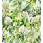 Hydrangea Garden-1791276775-1791276768