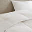 Édredon en duvet 100% coton toutes saisons - luxueusement doux et chaud