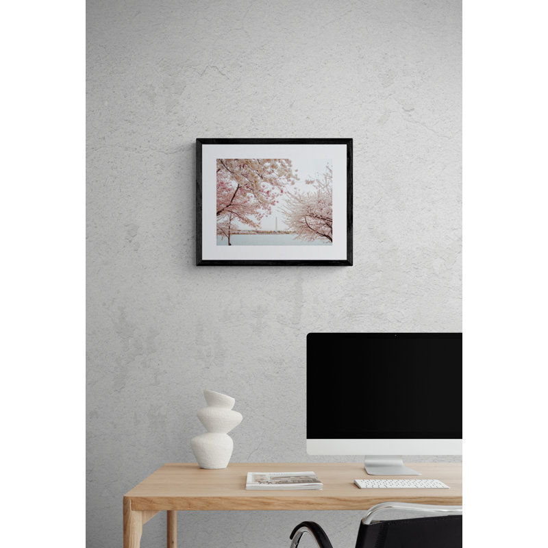Full Bloom Ii Print by Scott Wurzel, Black Framed Canvas, 24" H x 32" W
