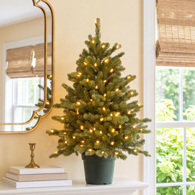 3' Pre-Lit Spruce Christmas Tree