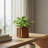 Round Strata Planter SM-25478583-25478576