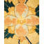 Classic One-of-a-Kind 8' 1" X 10' 5" Hand Knotted Area Rug