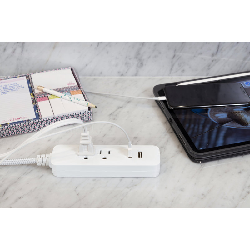 Cordinate 4-ft 2-USB-A 2-Outlet Grounded Braided Extension Cord, Gray, 43678