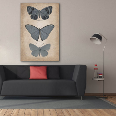 "Epic Graffiti" Vintage Butterflies Trio 1 "par Art Licensing Studio, art mural sur toile, 40 po x 60 po