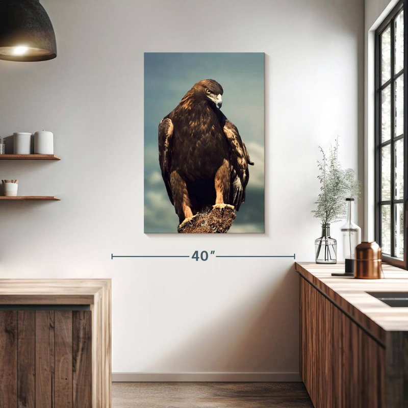 Aigle royal Brampt, H 39 po x l 26 po