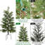 Plant-1889440169