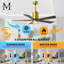 Patricia LED Downrod Ceiling Fan-328532574-357915230