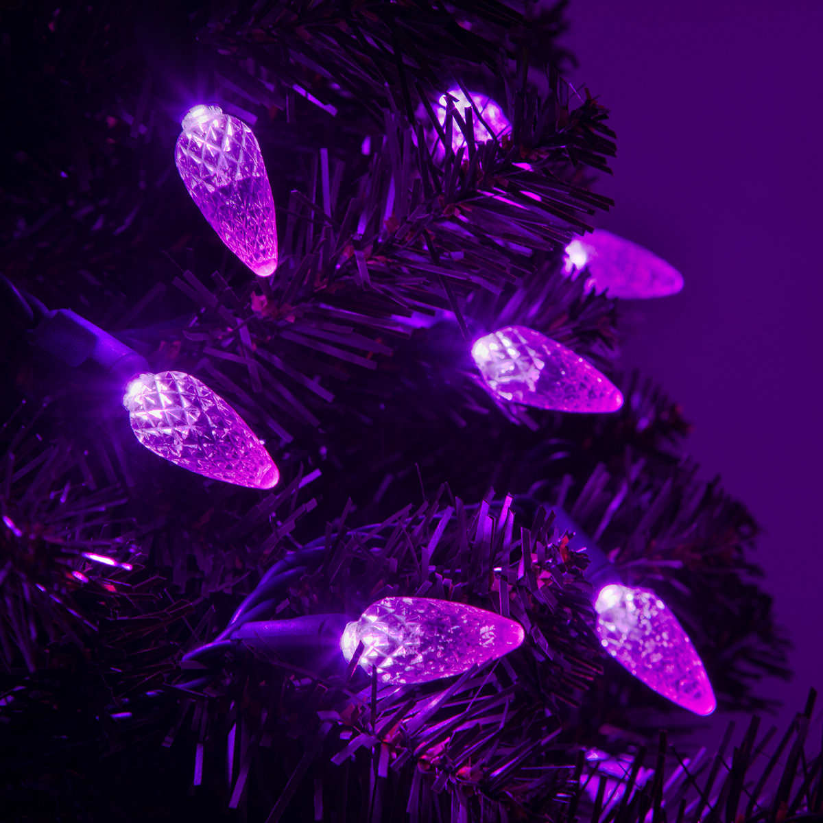 70-Light C6 LED Christmas String Lights, Purple