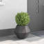  Planter Steel-1974654431-1974654420