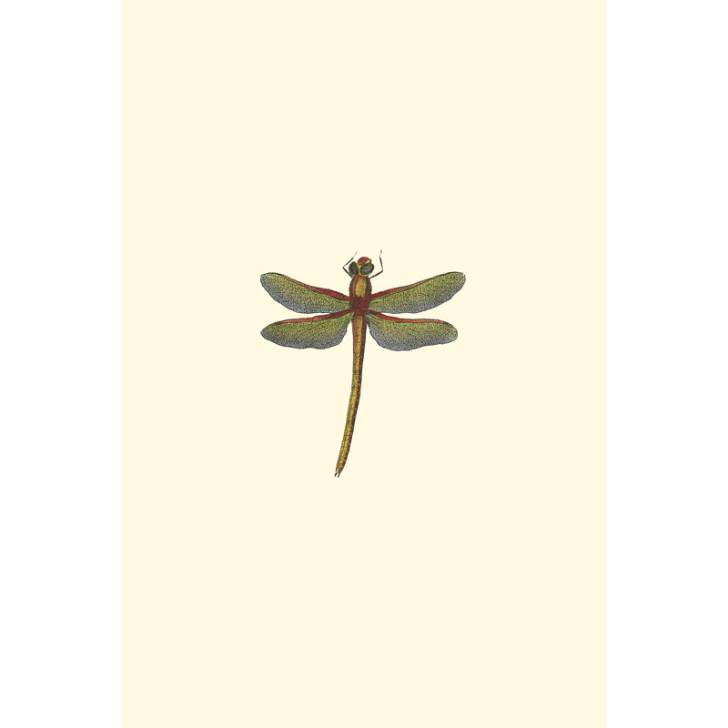 Miniature Dragonfly II (JR) 1 Piece Wrapped Canvas Painting, 46cm H x 30cm W