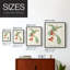 Reproduction encadrée Turpin Tropical Botanicals III - bois massif-19539096-19539102