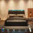 Kamdin Upholstered Platform Bed-1386758011-1386758004