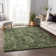 Premium Machine Washable Kelsa AMF41 Olive Rug