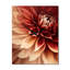 Horloge murale Dahlia-1512286799