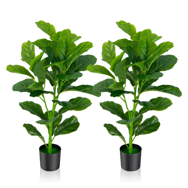 Fausse feuille de figuier en pot, H 35,50 po x l 5 po x P 5 po