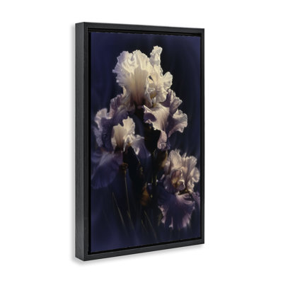 Purple Iris Close Up Floating Frame, design by Collin Bogle