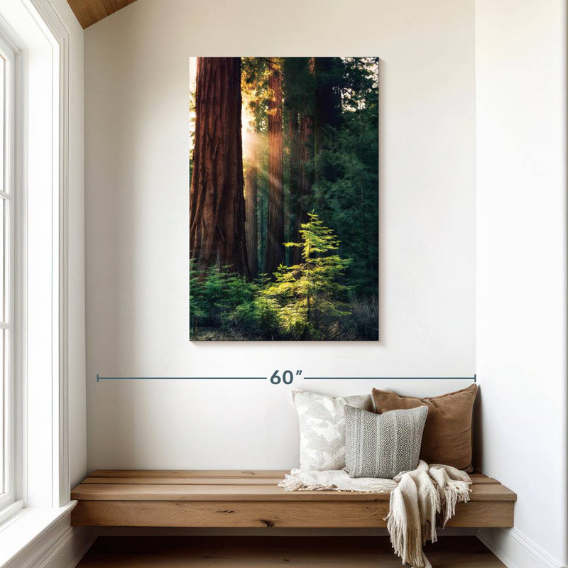 Arbres du parc national Harnek Yosemite, H 45 po x l 30 po