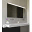 Slim 1-Light LED Bath Bar-818189180
