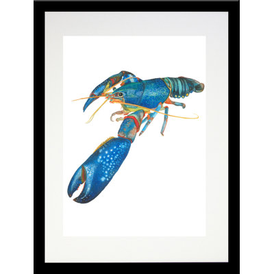 " Lobster " by Damon Crook