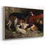 Botanique rétro - Cxxvi-108841508-108941787