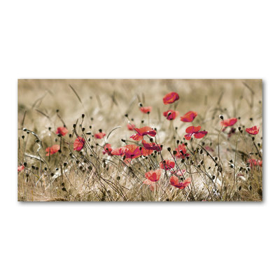 Maki - Wrapped Canvas Print