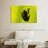 Frog On Leaf-1094917781
