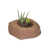 Autumn Bluff Red Brown