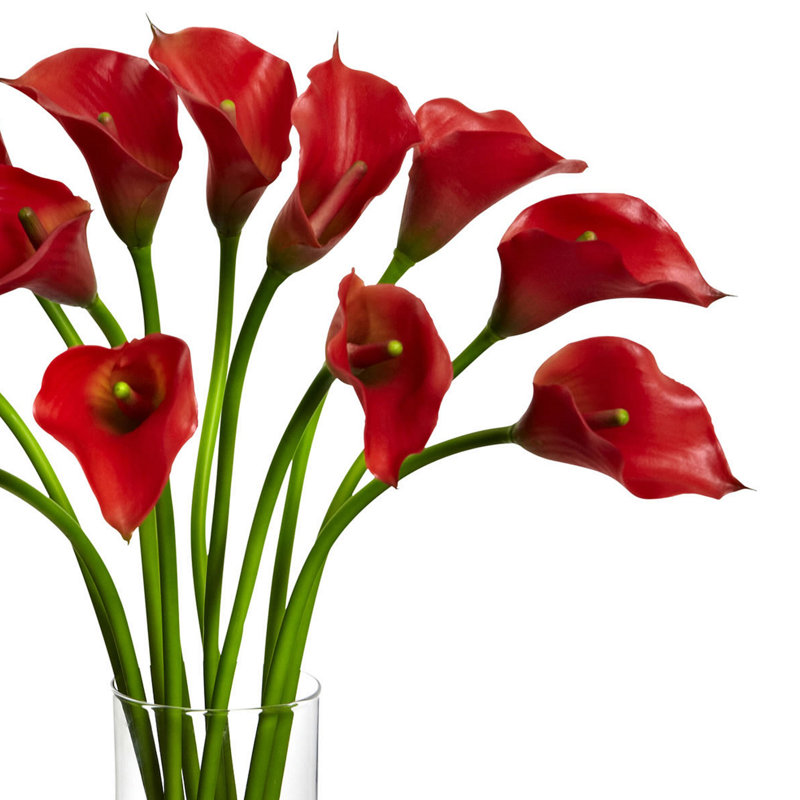 Arrangement floral de lys Calla dans un vase, Rouge
