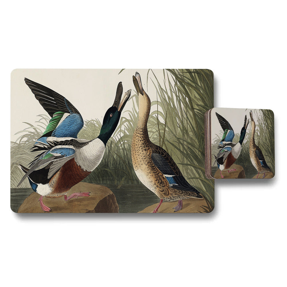 Mallard Duck Placemats and Coaster Set With Vintage Artwork