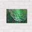 «Succulents IV» par Dennis Frates-622793534