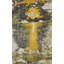 Tapis oriental moderne à imprimé nature 5 x 7