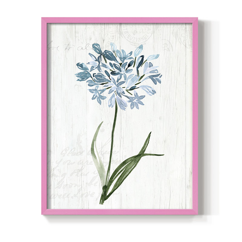 «Garden Botanical I», reproduction encadrée - bois massif, H 15 po x l 12 po, Rose