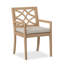 Patio Dining Armchair with Cushion-846289044