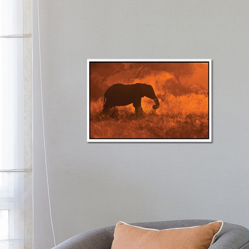 Elephant In Savute by Mario Moreno - Print on Canvas, 45.72cm H x 66.04cm W x 3.81cm D, White Floater Framed