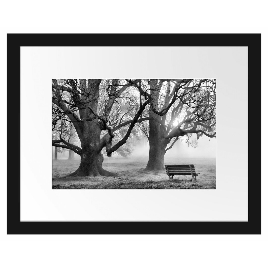 Gerahmtes Poster Baum und Bank im Nebel