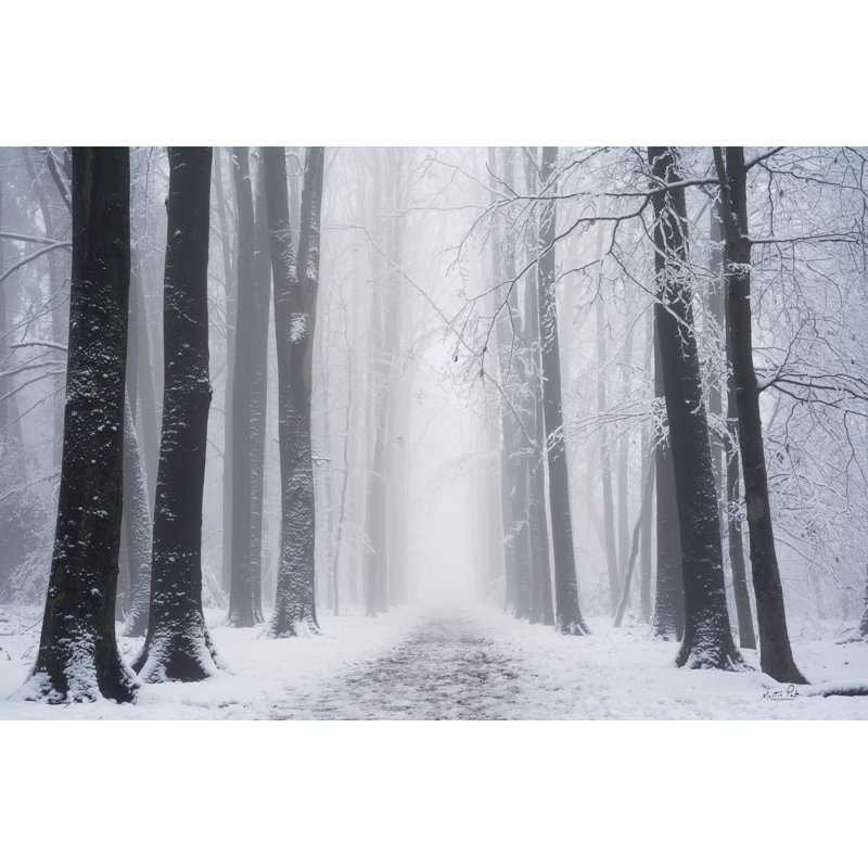Whiteout 2886693, White, 20" H x 30" W, Walnut Single Picture Framed Paper
