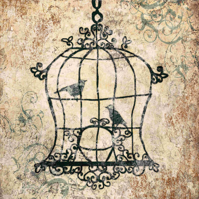 " Sketchy Bird Cage "